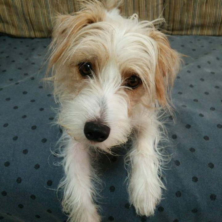 Cb755bb3 1b62 4ddb 8b10 b9113e091e58