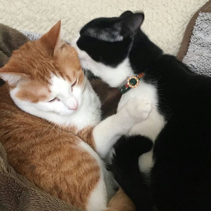 Cb75a909 4245 4342 80d3 39654e7b8dfe