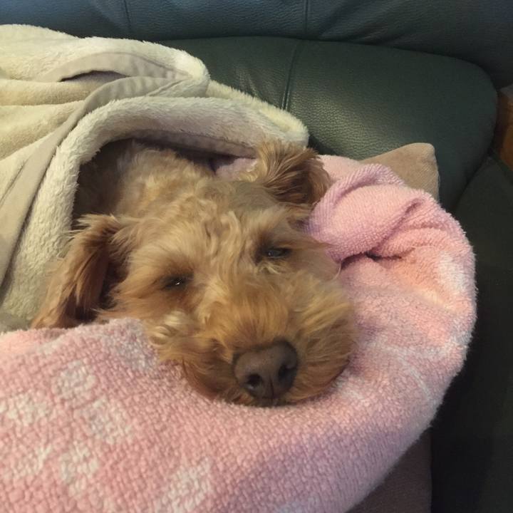 Cb75d4d5 6ddb 4561 9531 a7ef3b13ee30