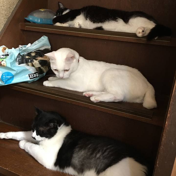 Cb75f2d9 623c 4584 a964 a4023b9ad556