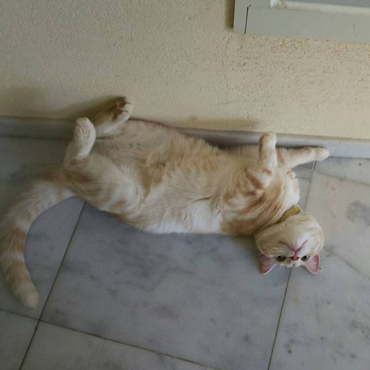 Cb7627de 0141 4227 aa4e 4fe32e943b44