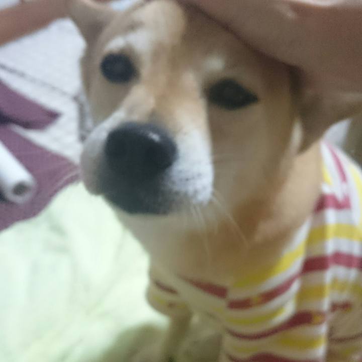 Cb768aa7 1442 40aa 8564 554e3f303649