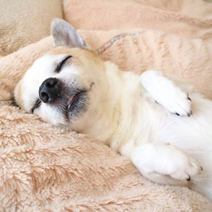 Cb78037d c412 462c bf93 f761c6be4212