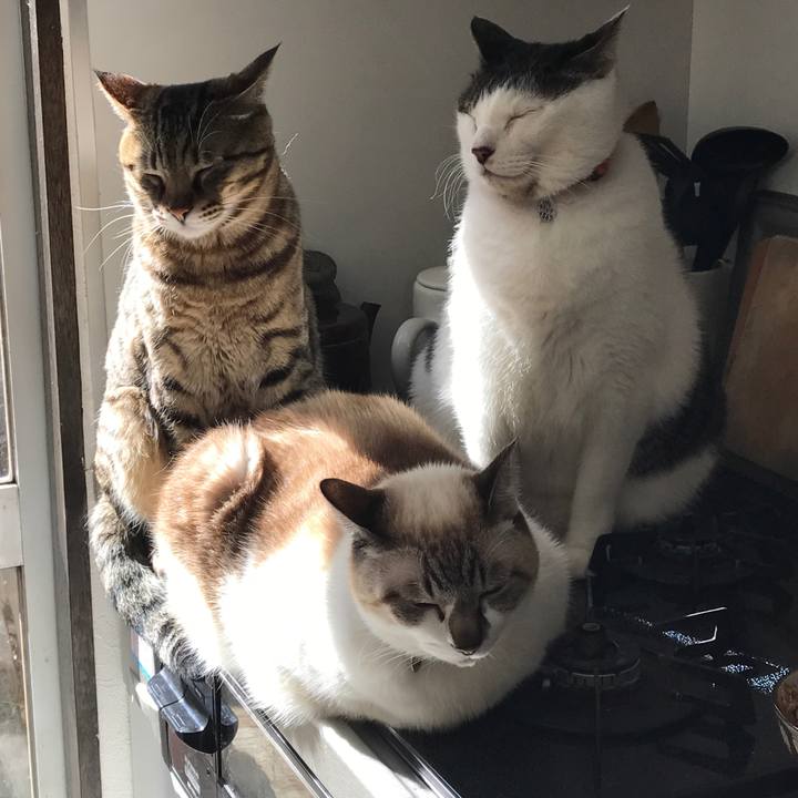 Cb78a39e 044a 44f8 a94e cff9b88cc83c