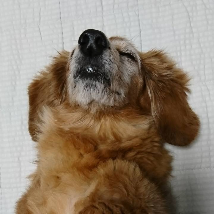 Cb78eaf3 a718 4f53 b9c1 2fb34a38e0d8