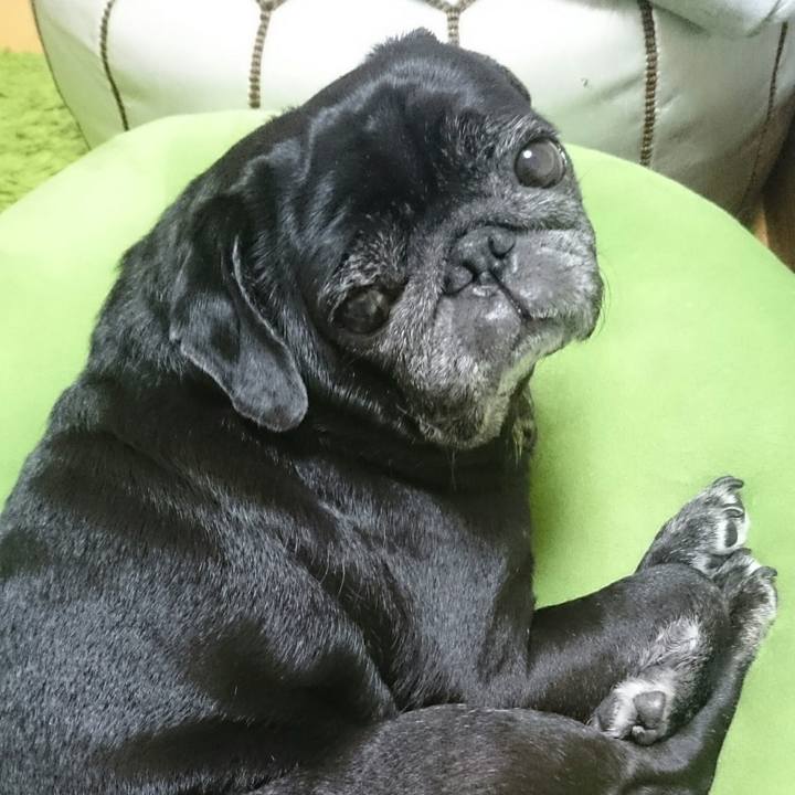 Cb79ba94 4909 4c9d b2dd 35a496841ef1