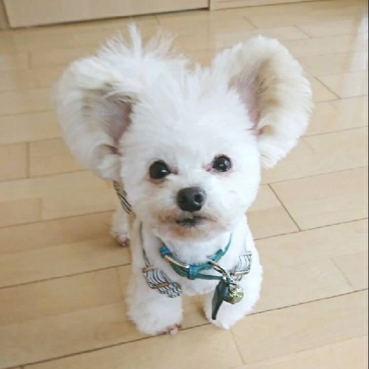 Cb7a29cf 944d 44bc bfa0 7e52efd3b71c