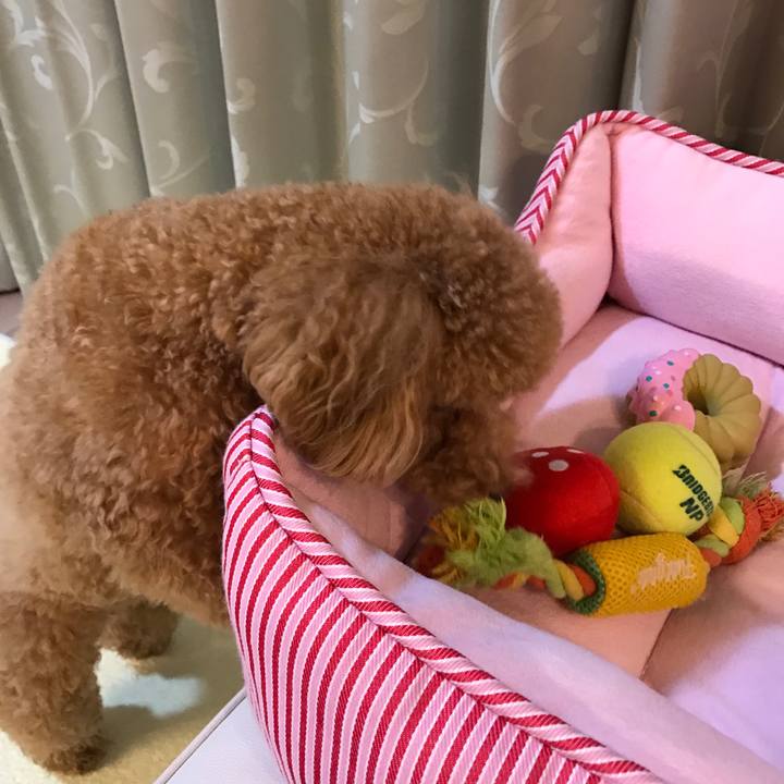 Cb7aa1b8 44ec 4c0c a241 a058f646aaa8