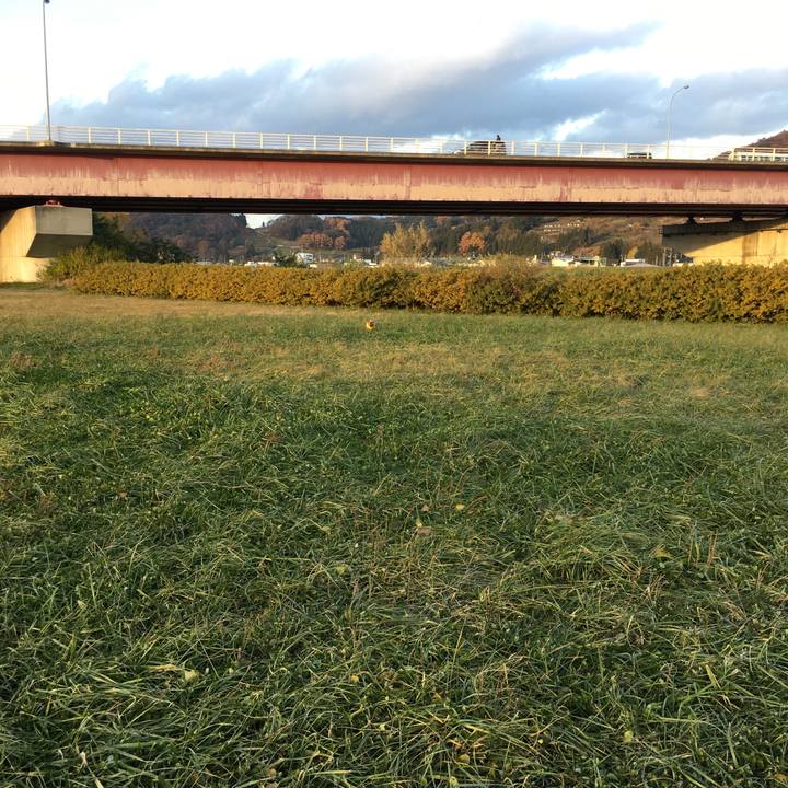 Cb7b447c 7be8 428c 9aac b7c55037ec32