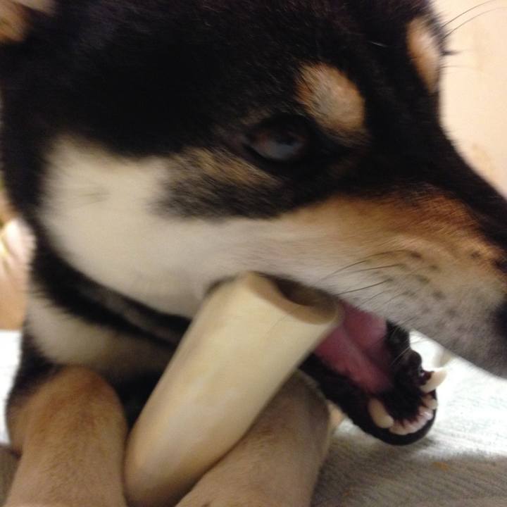 Cb7b7ec8 6941 4fec a8f7 bd0e5d401741