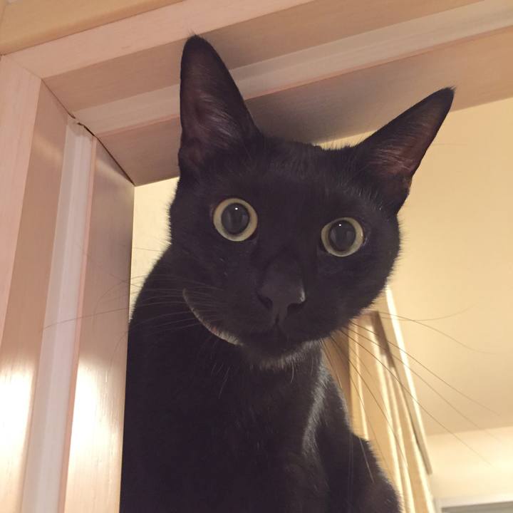 Cb7c6490 de03 484f a0b3 8867885a799f