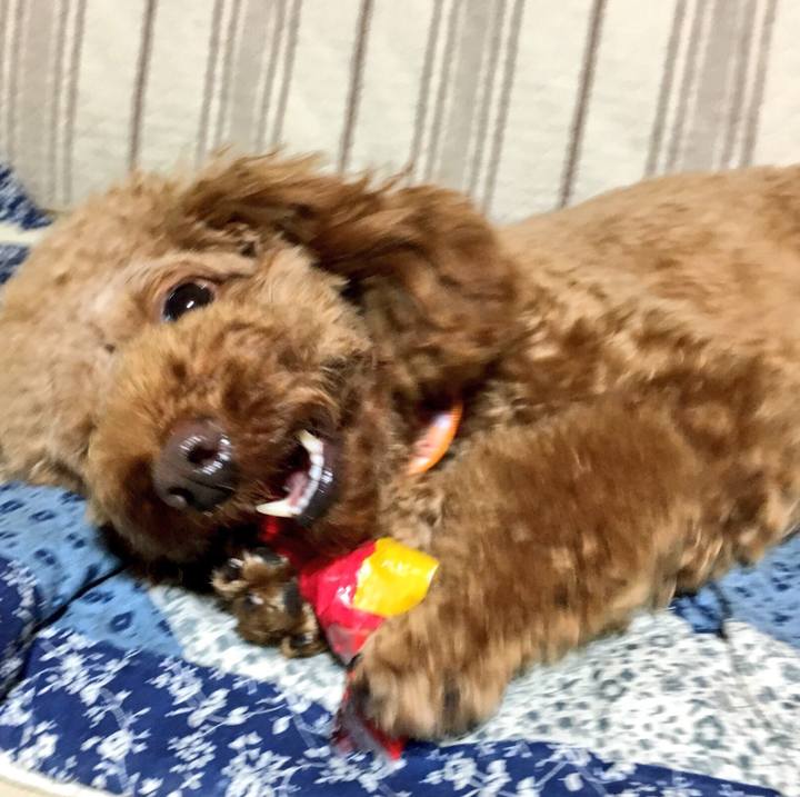 Cb7d4de3 83f5 46f1 94fb 735011a8259c