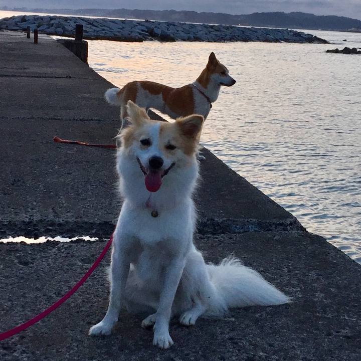 Cb7d9db1 c6f7 4626 9b5a b9eadec0e048