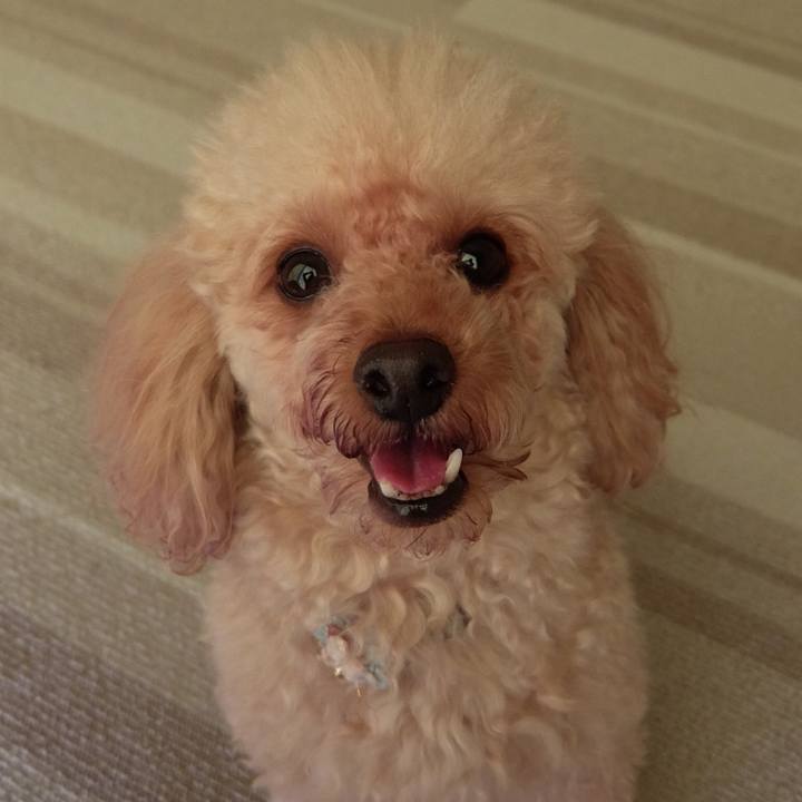 Cb7e11a0 e53c 4943 b1ab 60a98f814a91