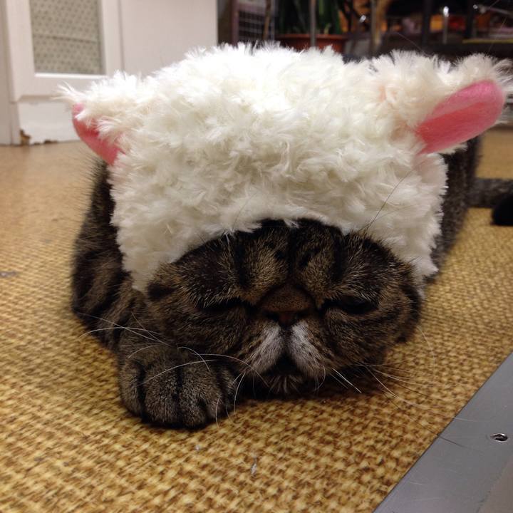 Cb7ec08c f32c 4e2f b140 e14ebfbbb7a8