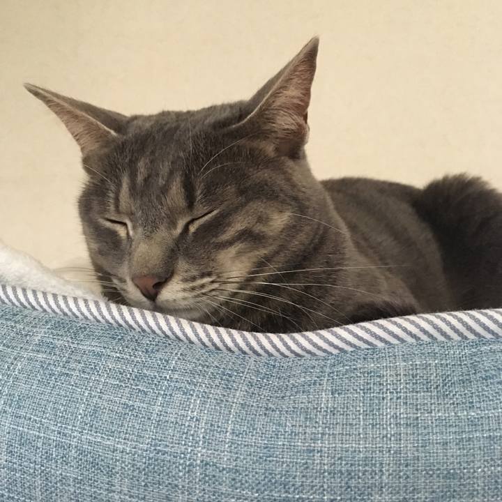 Cb7f627e d122 41c1 9054 114e90d73dd1