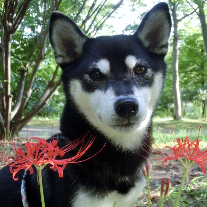 Cb7f810a 26a0 4e6d 9809 70279fec05fc