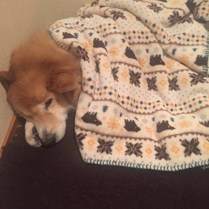 Cb7f9b59 a1d7 4509 92b3 5475c7166bf6