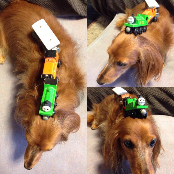 Cb7fc3c4 d57e 4ca6 8913 819e96746d55