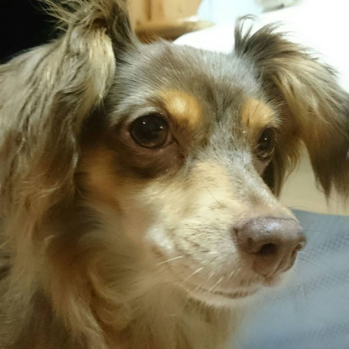 Cb808f37 c7af 4cd8 85ef b1155f7531ac