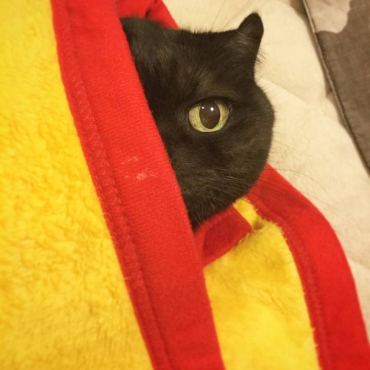 Cb814c1e 3e13 4ad9 b5bf a2d3ba062d1e