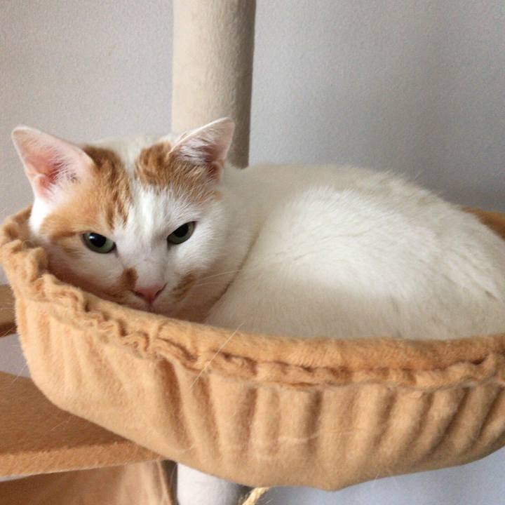 Cb815010 e725 4bbc 9e3a 59ec07298dd3