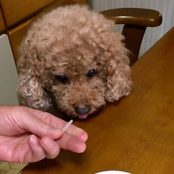 Cb81c504 8e45 4ec2 b180 c5f85ba6b7ac