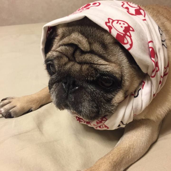 Cb81e2e6 0c8a 4e31 8619 55f15bf72ed0