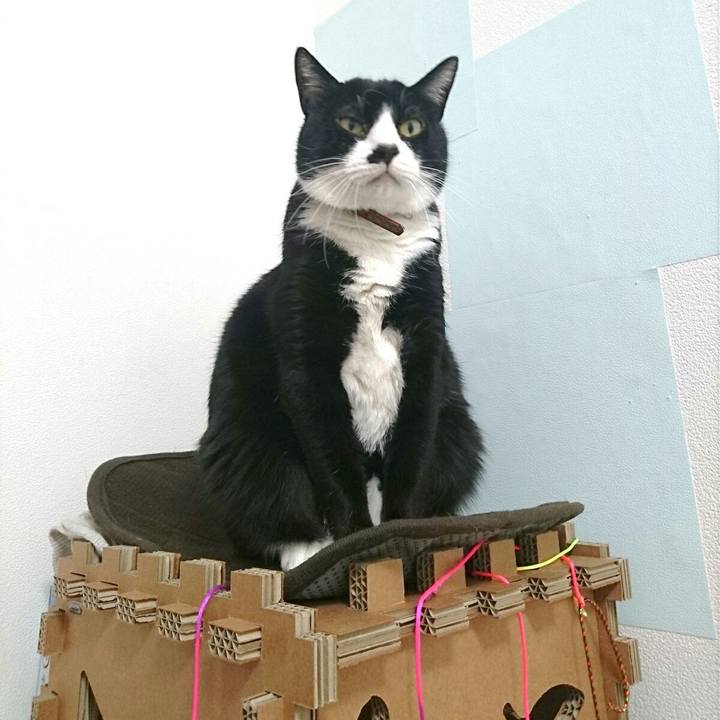 Cb82e1df 9e87 4629 ac48 97d45995f1aa