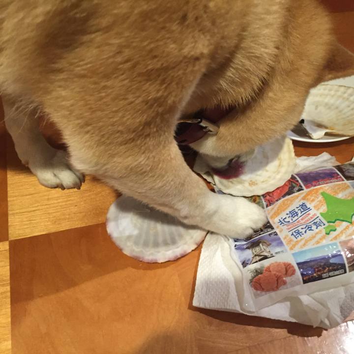 Cb830c27 d42a 44d3 8085 1a882f8eb121