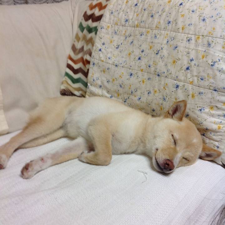 Cb830d5c 113e 47e8 96c0 5653f2491315