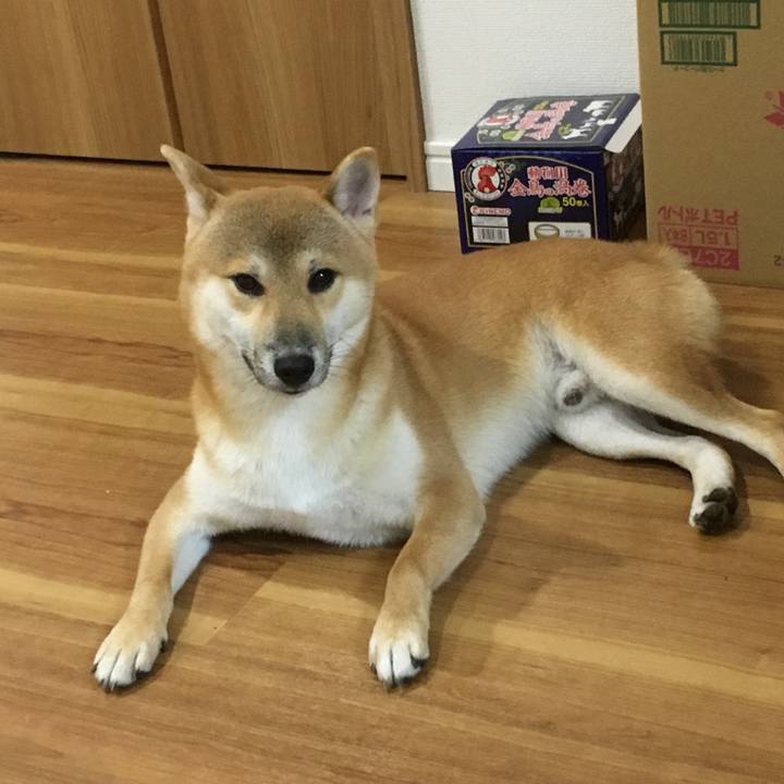 Cb83227b 3c28 4b20 97b6 fb69c32ce8cb