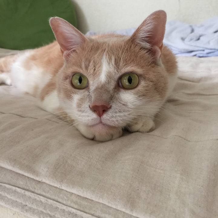 Cb8372d8 6a23 46d6 ac7a 8dbb6dee9934