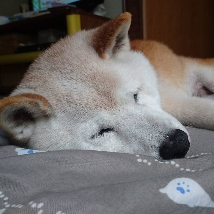 Cb8413c9 ab63 407c 9fa9 fd6e6c1bc1eb