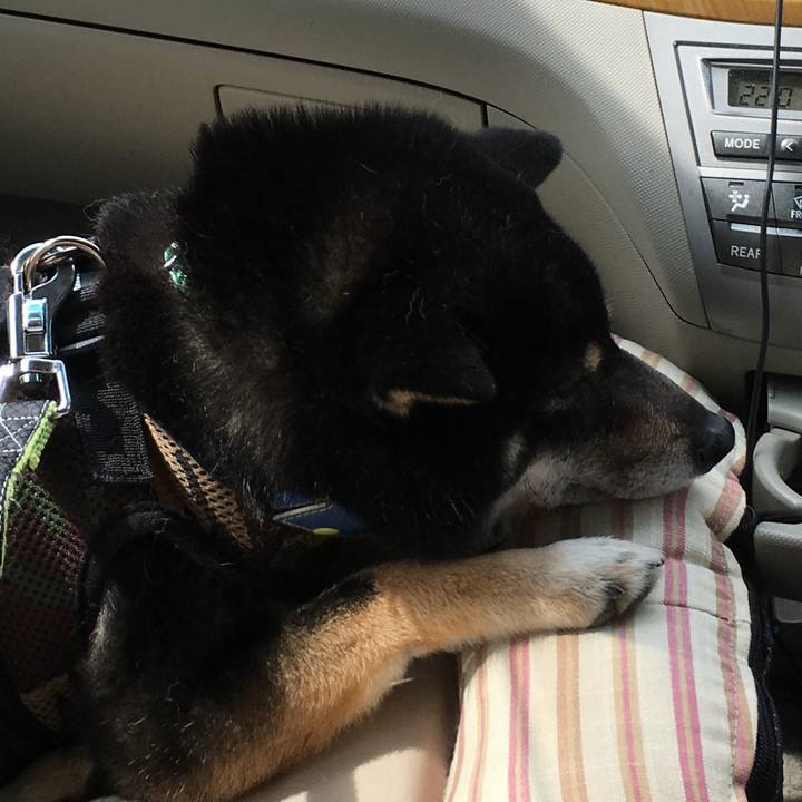 Cb84b7c4 843e 41c0 8c9b c1ab29e6bc3c