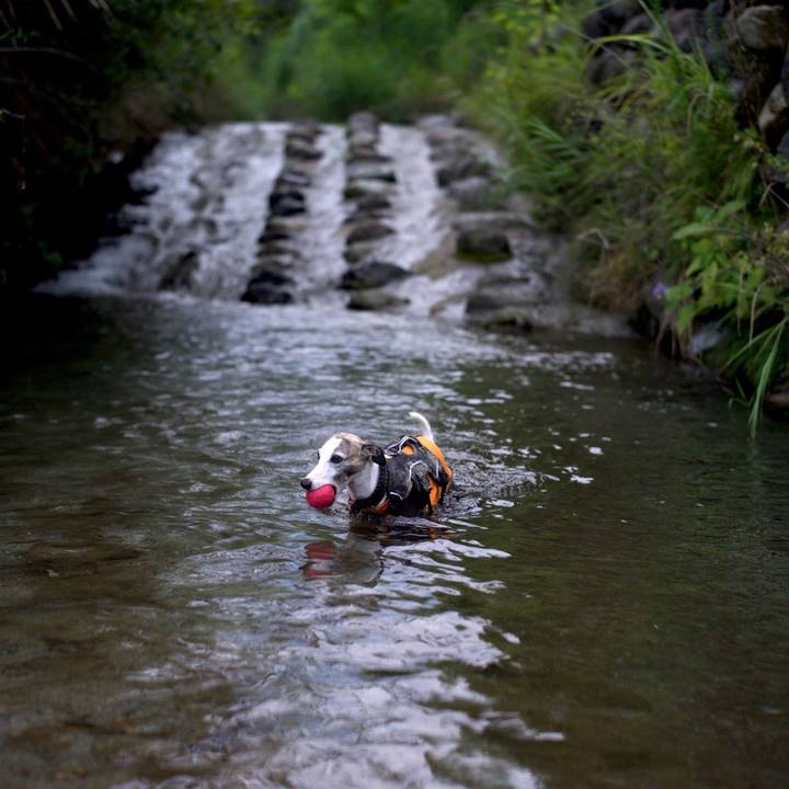 Cb8518b3 ed66 4b2f 948e e92cdc8157fe