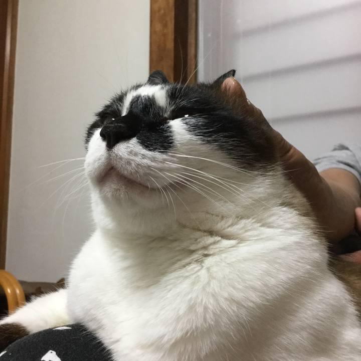 Cb85b5cc 894c 4208 8464 6715dc199167