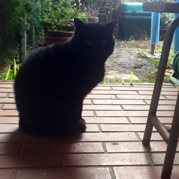 Cb85d6f9 e5ec 4ea0 a4eb 1858992abba4