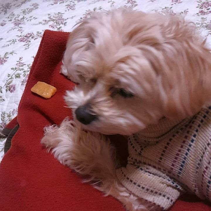 Cb85e34e 568c 419b b6e4 a94cc75c5926