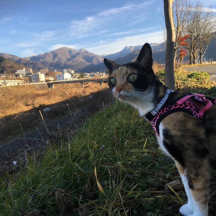 Cb85e6b0 8d98 4bd9 ab4d fa369cd08620