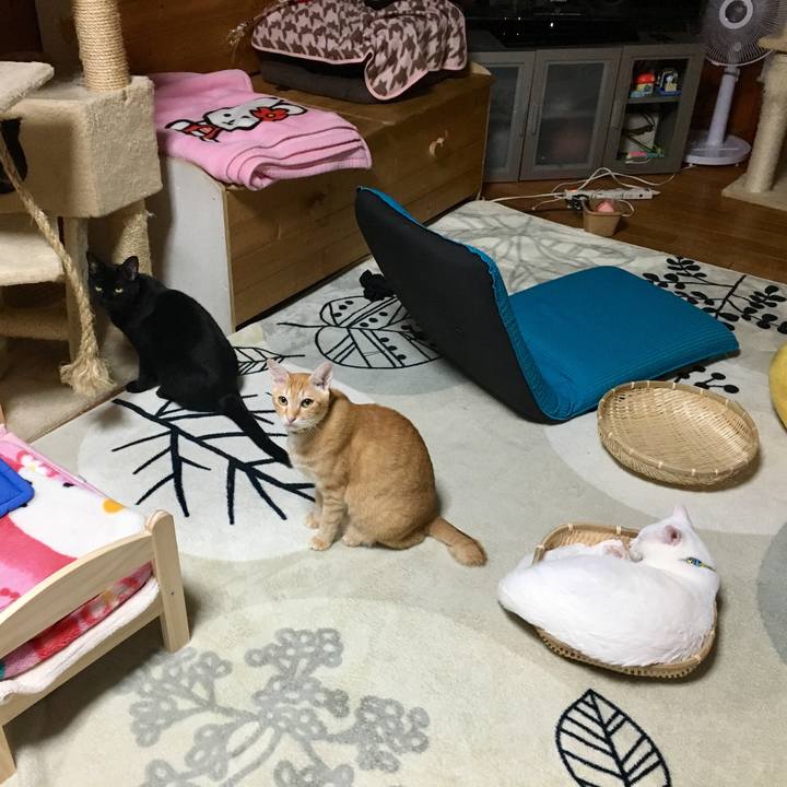 Cb85f7df 8605 4adb 829c 8c6d165f7b6e