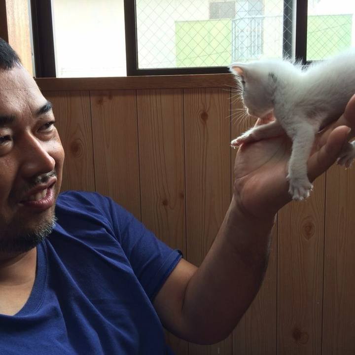 Cb86fcd6 a744 447b b053 86c6efff42ea