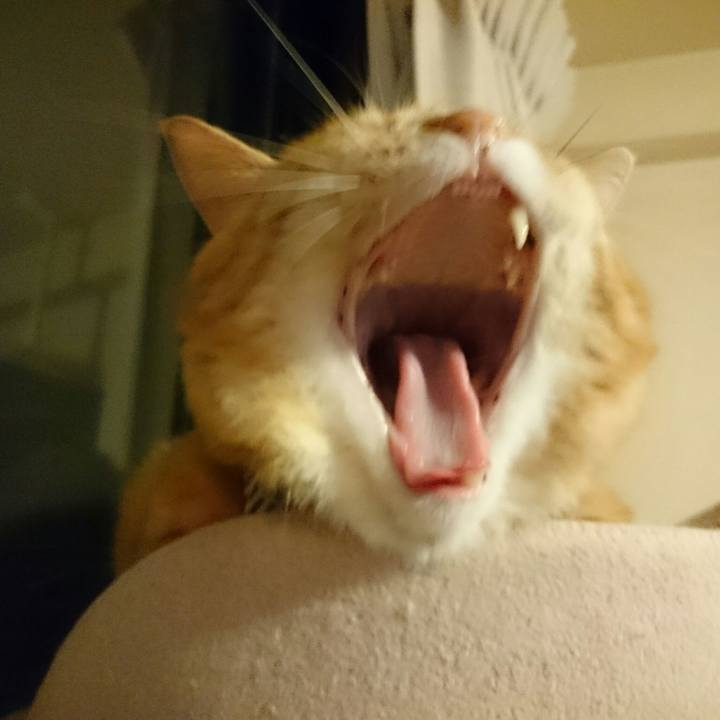 Cb871df9 1677 471f abf4 d69bbba18bb1