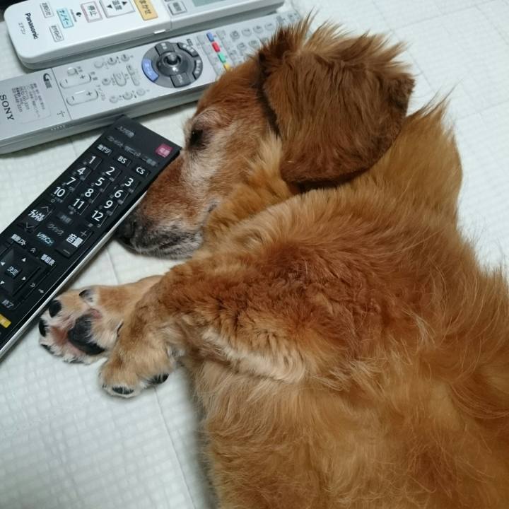 Cb876fc4 faf0 4163 bdf1 6dd548a6f8c3