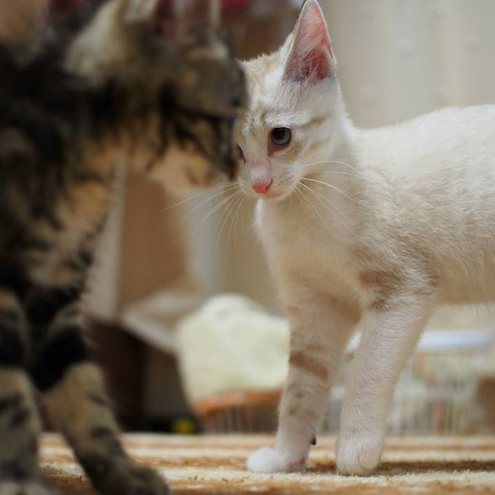 Cb879bc1 544d 45ed ba4f ea33d5f19727