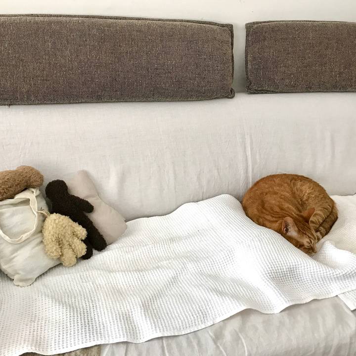 Cb87ca95 44e1 45a3 8dba 19ebdf692c36