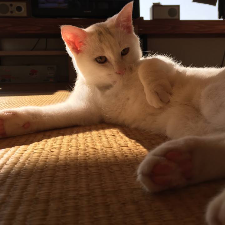 Cb87e95b fc64 42d8 b2bf cf2b04faaaad