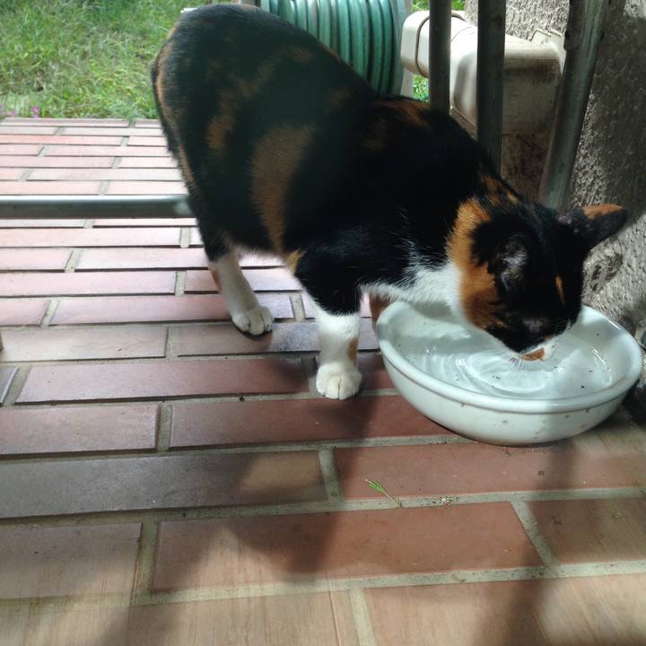 Cb88973b b020 4d32 baec 7b6462378c1b