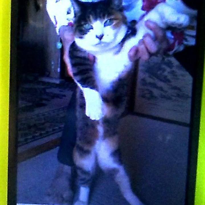 Cb88f692 c9f2 41e8 a36c 853e62d7b16b