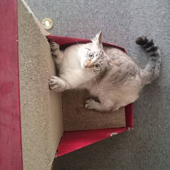 Cb891a24 b98e 4863 b207 8a4559e9a7f6